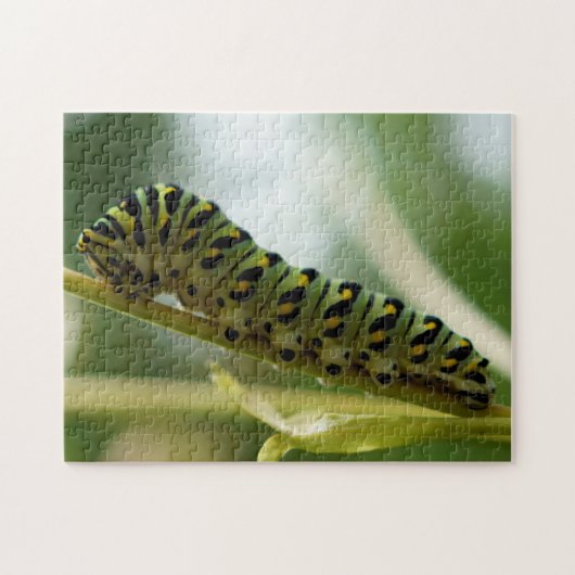 Caterpijler 10x14 Puzzle Legpuzzel (Horizontaal)
