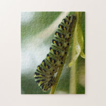 Caterpijler 10x14 Puzzle