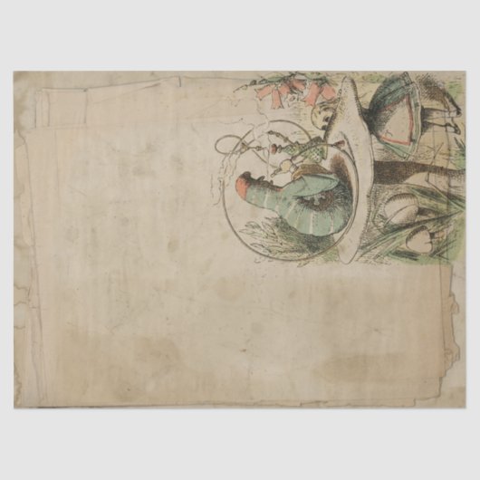 Caterpijler Alice in Wonderland ontkoppeling Tissuepapier (Voorkant)