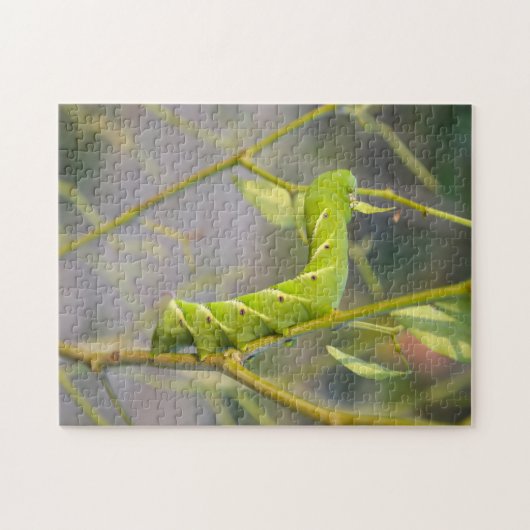 Caterpijler Guyana Legpuzzel (Horizontaal)