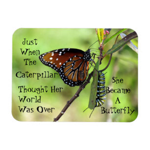 Caterpillar / Butterfly Quote Magnet Magneet