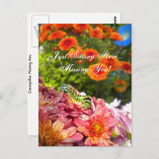Caterpillar Missing You briefkaart (Voorkant / Achterkant)