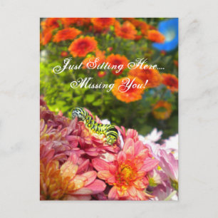 Caterpillar Missing You briefkaart