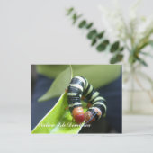 Caterpillar On Leaf Briefkaart (Staand voorkant)