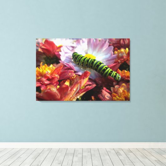 Caterpillar op Mums verpakt Canvas (Insitu (Houten vloer))