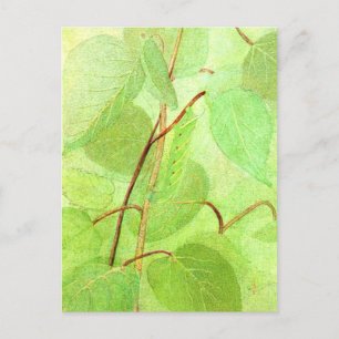 Caterpillar Painting-Briefkaart Briefkaart