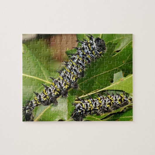 Caterpillar puzzel (Horizontaal)