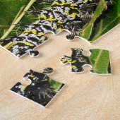 Caterpillar puzzel (Zijkant)