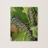 Caterpillar puzzel (Verticaal)