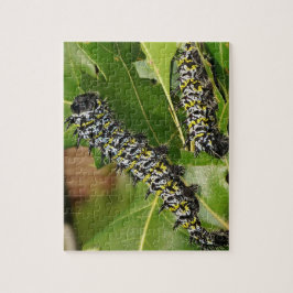 Caterpillar puzzel