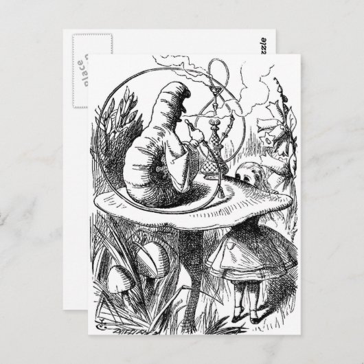 Caterstone Roking a Hookah Alice in Wonderland Briefkaart (Voorkant / Achterkant)