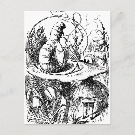 Caterstone Roking a Hookah Alice in Wonderland Briefkaart (Voorkant)