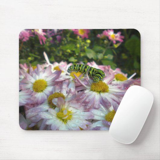 Caterstyle and Asters Mousepad Muismat (Met muis)