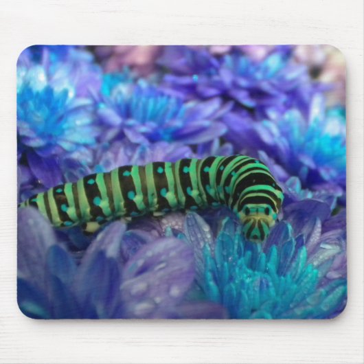 Caterstyle Fantasy Mousepad Muismat (Voorkant)