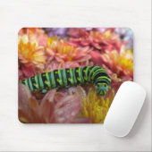 Caterstyle Sluiten Mousepad Muismat (Met muis)