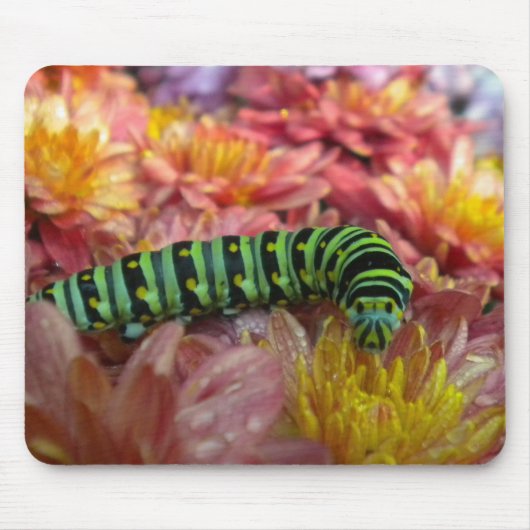 Caterstyle Sluiten Mousepad Muismat (Voorkant)