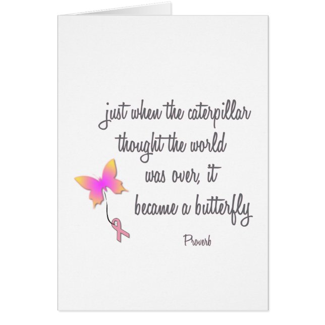 Caterstyle wordt een vlinder (Voorkant)