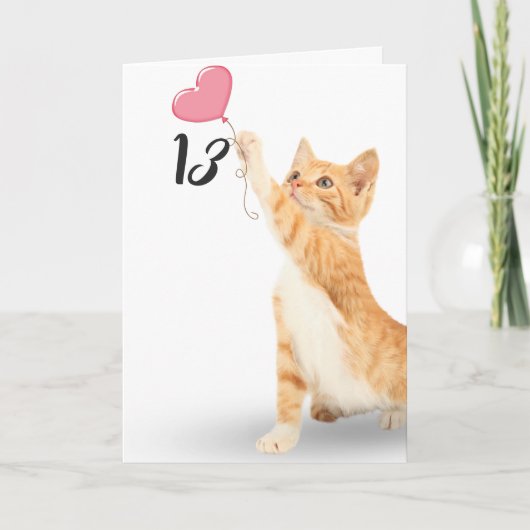caterwaal tabby kat voor 13e verjaardag kaart (Voorkant)