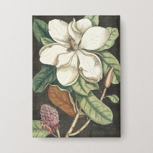 Catesby Vintage Magnolia Botanische Illustratie Button