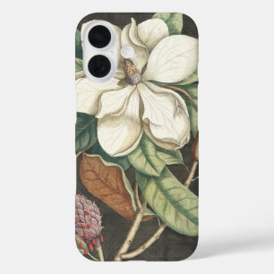 Catesby Vintage Magnolia Botanische Illustratie iPhone 16 Hoesje