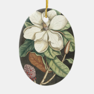 Catesby Vintage Magnolia Botanische Illustratie Keramisch Ornament