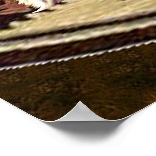 CATFIGHT IN A TEEPEE POSTER (Hoek)