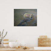 Catfish and Turtle Poster (Keuken)