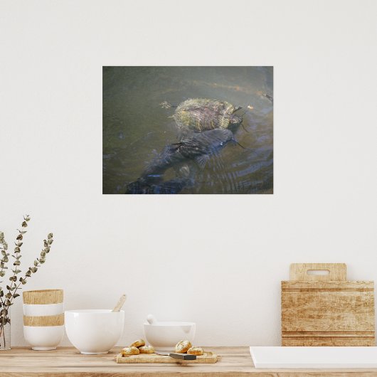 Catfish and Turtle Poster (Keuken)