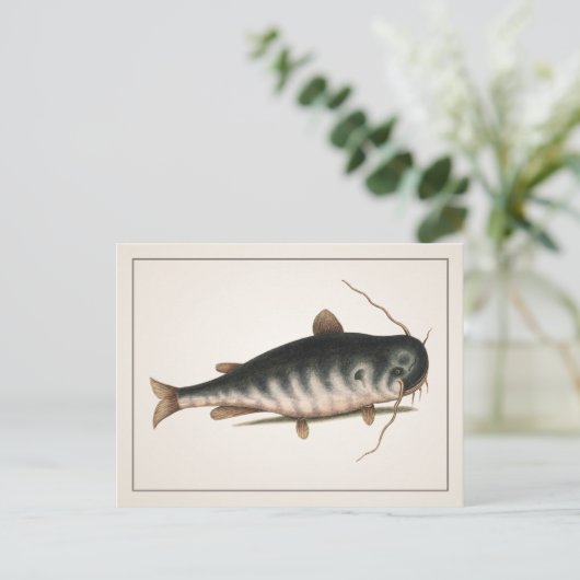 Catfish Briefkaart - Style I (Staand voorkant)