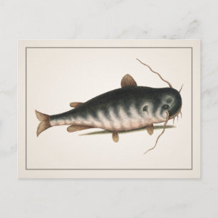Catfish Briefkaart - Style I