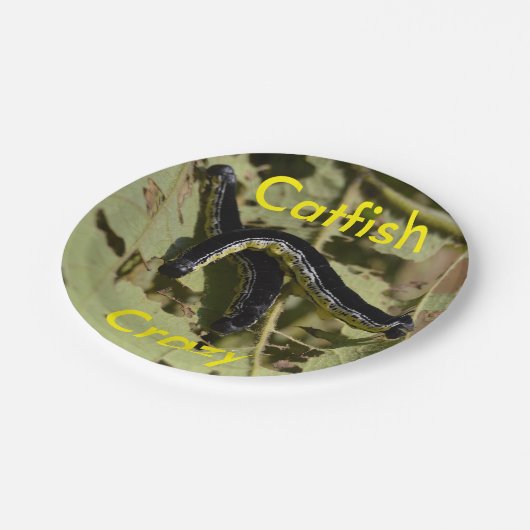 Catfish Crazy Catalpa Worms Papieren Bordje (Gekanteld)