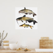 Catfish Family Poster (Keuken)