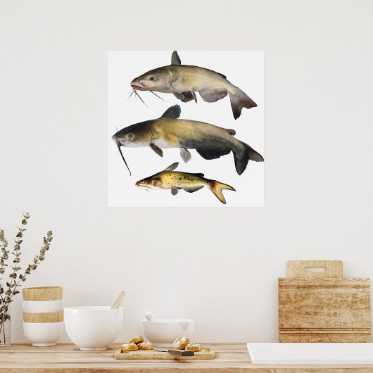 Catfish Family Poster (Keuken)