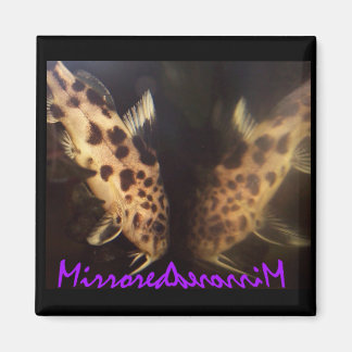 Catfish (gespiegelde) magneet