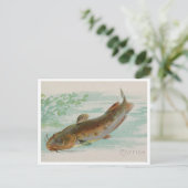 Catfish  illustratie briefkaart (Staand voorkant)