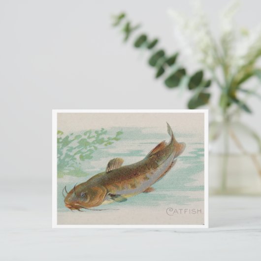 Catfish illustratie briefkaart (Staand voorkant)