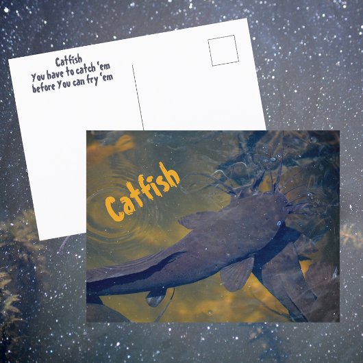 Catfish in Natuur Fotografische vis Briefkaart