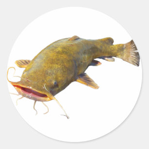 Catfish lippen ronde sticker