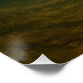 Catfish Poster (Hoek)