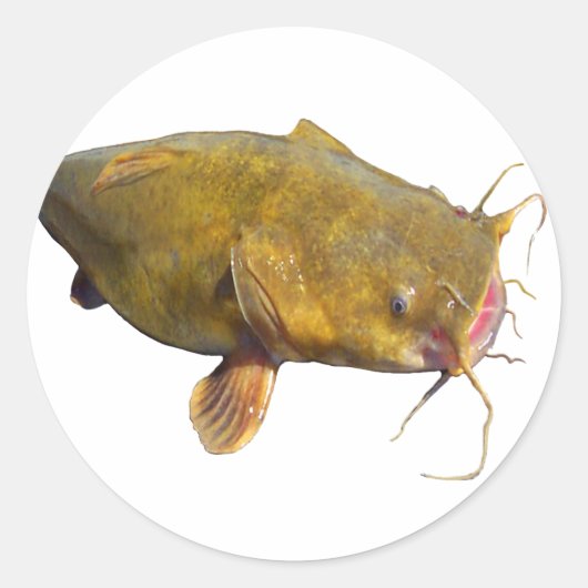 Catfishing Gevist Ronde Sticker (Voorkant)