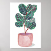 Cathathea Potted Prayer Plant Waterverf Art Poster (Voorkant)