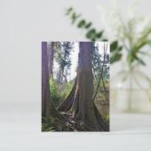 Cathedraal, Astoria, Oregon Briefkaart (Staand voorkant)