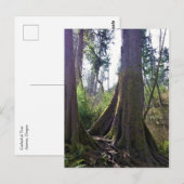 Cathedraal, Astoria, Oregon Briefkaart (Voorkant / Achterkant)