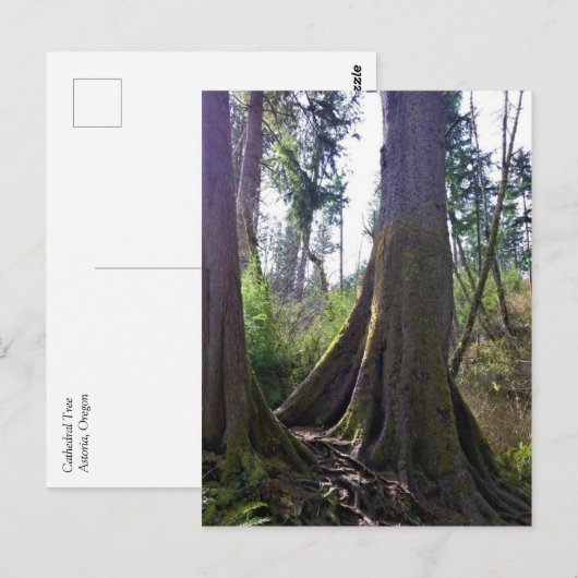 Cathedraal, Astoria, Oregon Briefkaart (Voorkant / Achterkant)