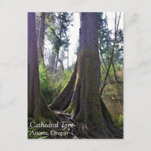 Cathedraal, Astoria, Oregon Briefkaart