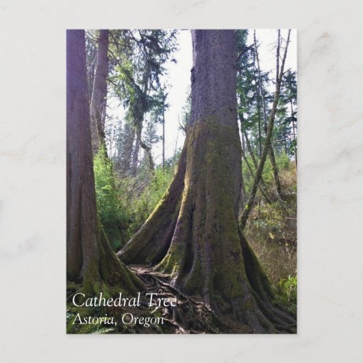 Cathedraal, Astoria, Oregon Briefkaart (Voorkant)