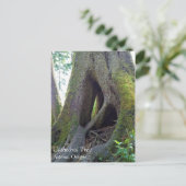 Cathedraal, Astoria, Oregon Briefkaart (Staand voorkant)