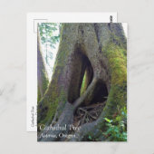 Cathedraal, Astoria, Oregon Briefkaart (Voorkant / Achterkant)