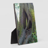 Cathedraal, Astoria, Oregon Fotoplaat (Zijkant)