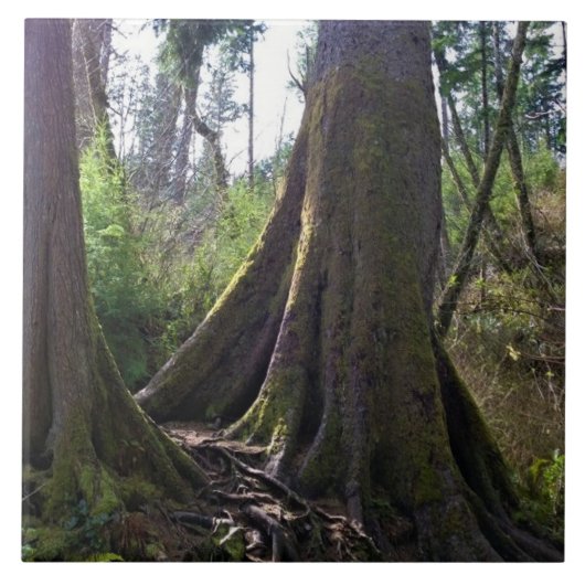 Cathedraal, Astoria, Oregon Tegeltje (Voorkant)